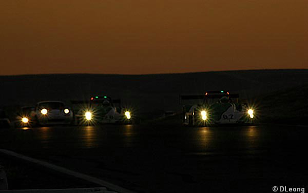 DSC_2917.jpg