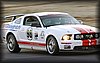DSC_2866.jpg