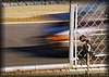 DSC_3770.jpg