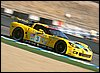 DSC_2446.jpg