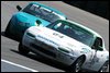 DSC_7549.jpg