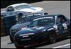 DSC_7566.jpg