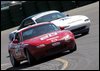 DSC_7593.jpg